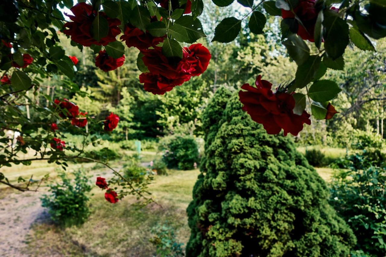 Red Haven Cottage Edsbruk Zewnętrze zdjęcie